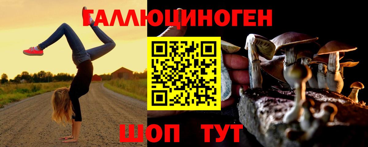 закладка  Вход с VPN  Псилоцибиновые грибы Cubensis  Обь  Псилоцибиновые грибы прущие грибы 